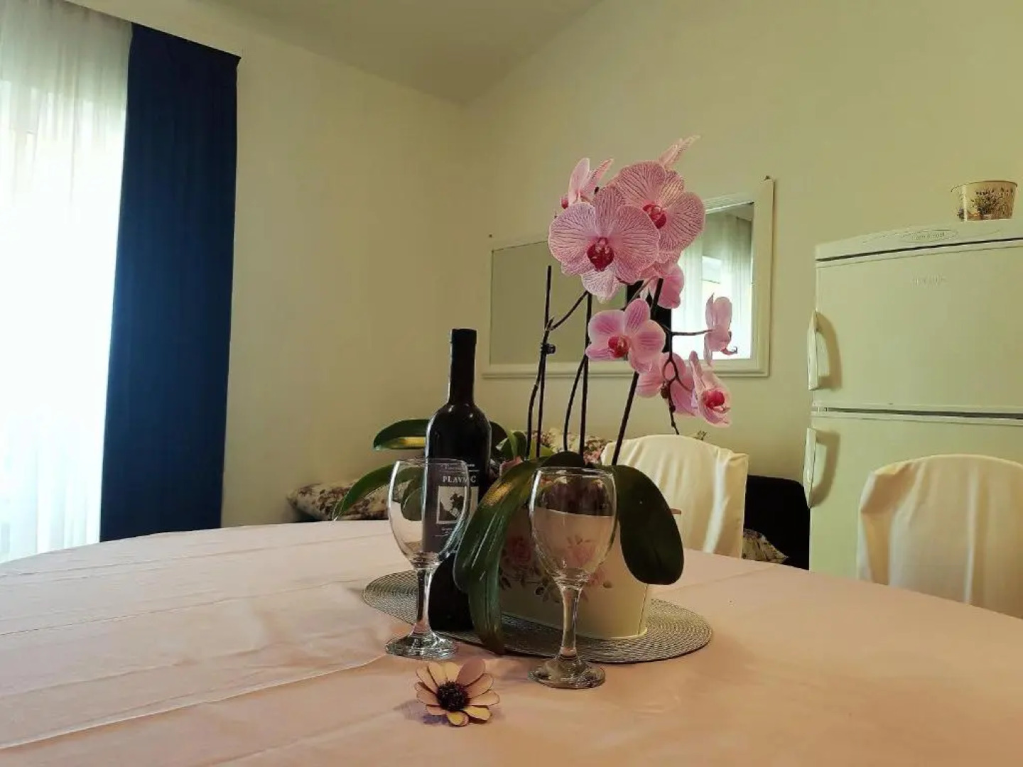 Apartments Anita Punta Skala