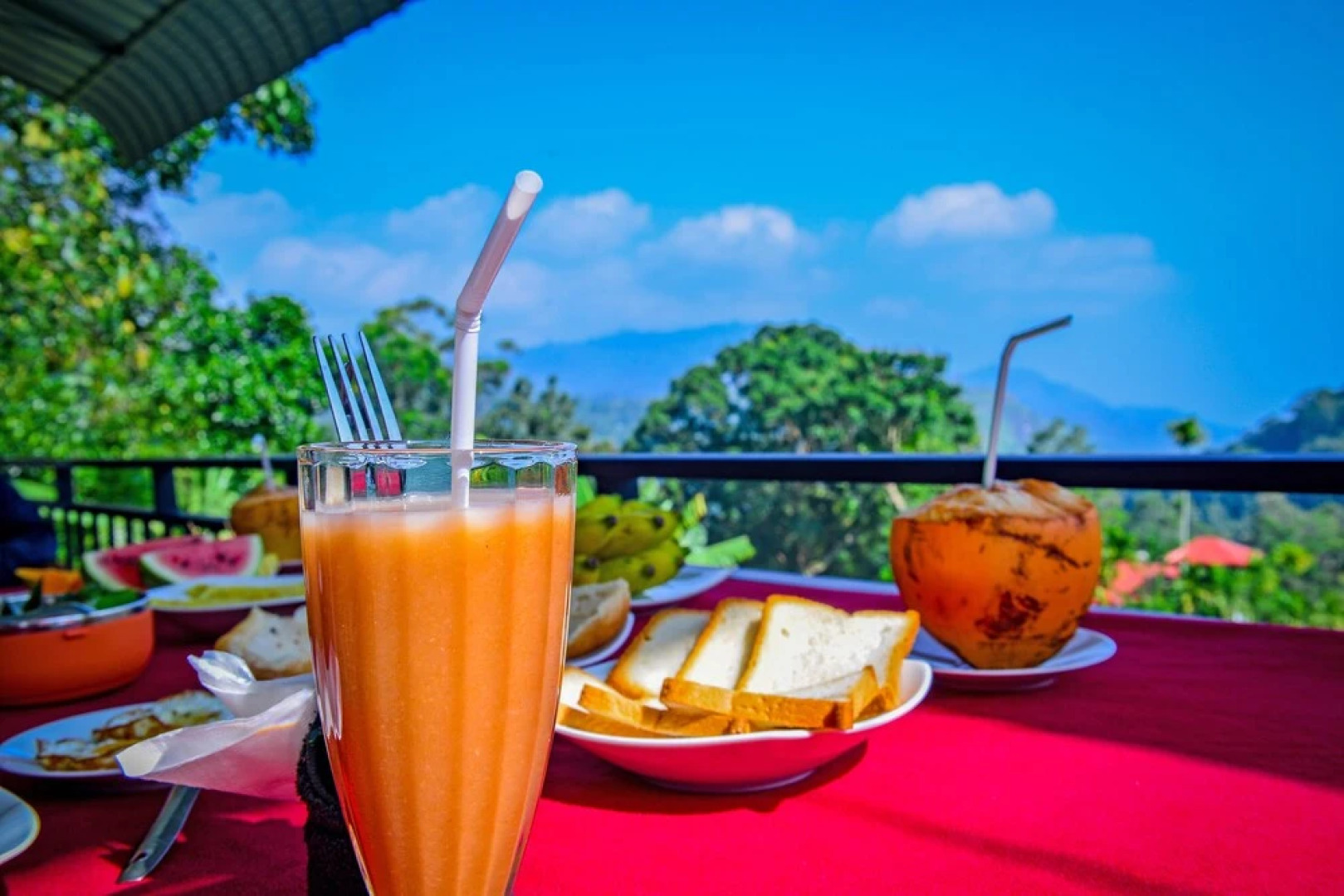 Dimuthu Homestay Ella