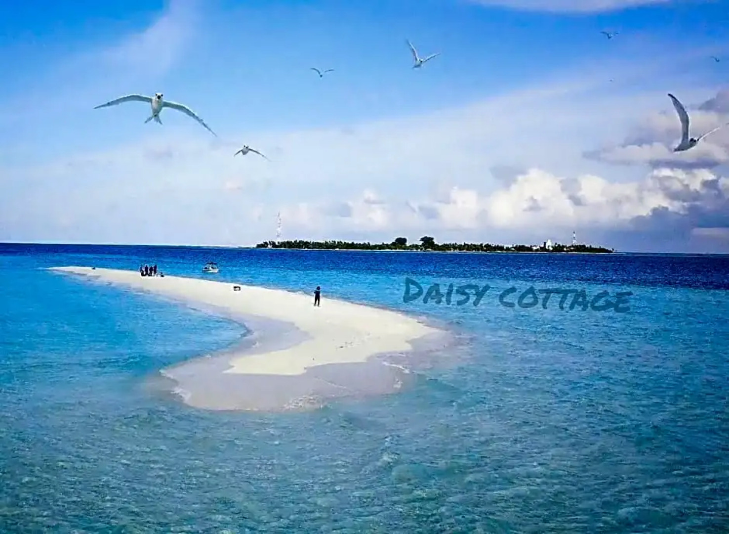 Daisy Cottage Dhangethi