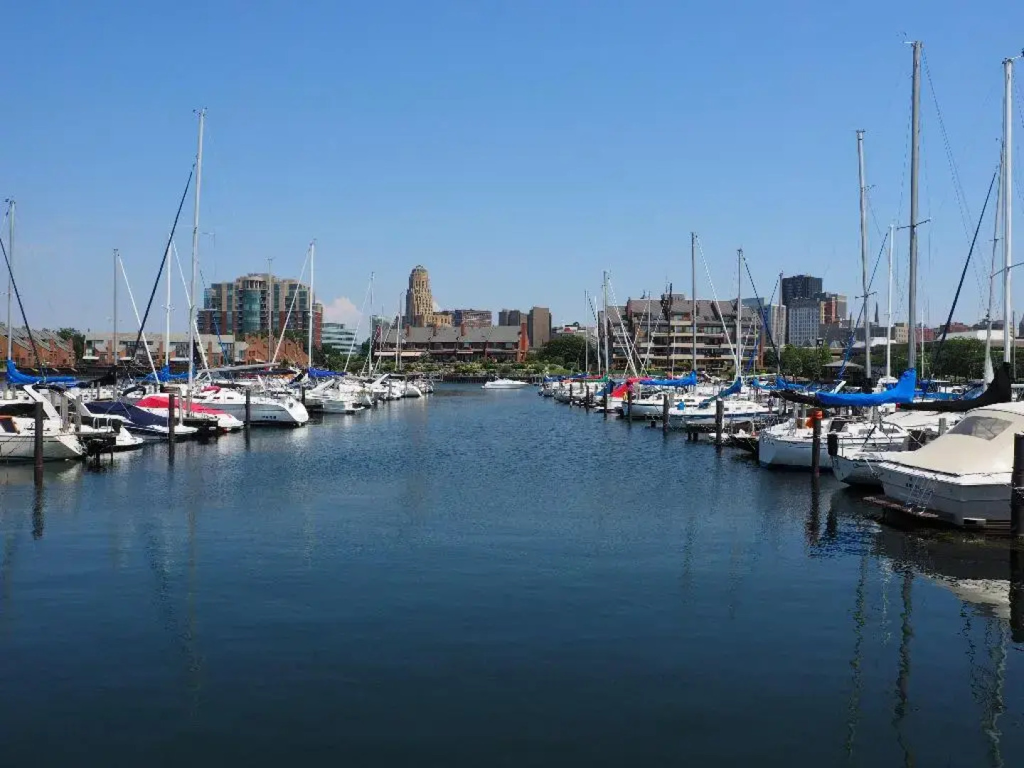 Holiday Inn Express Hotel & Suites Buffalo-Airport by IHG