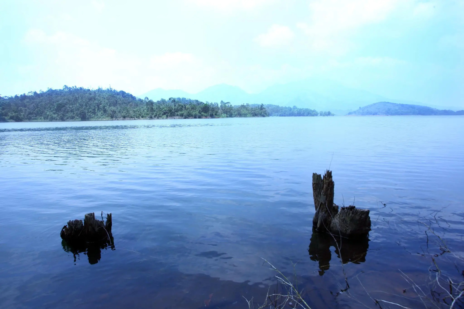 Petals Resorts Wayanad