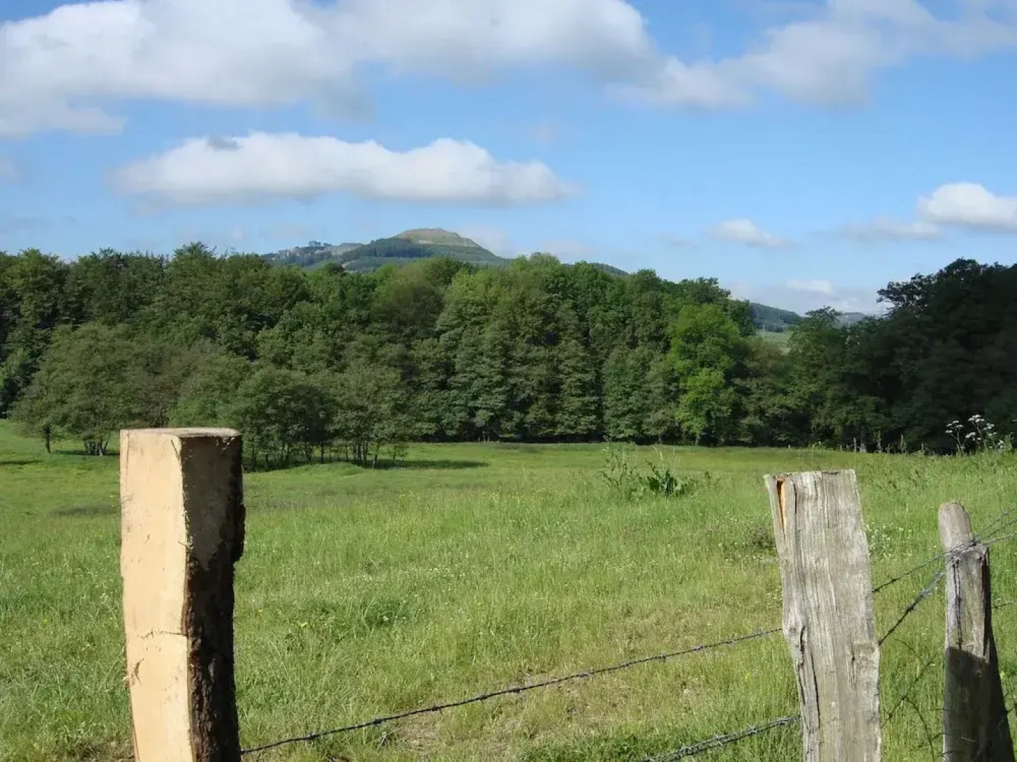 Hillside Cottage Near Winterberg