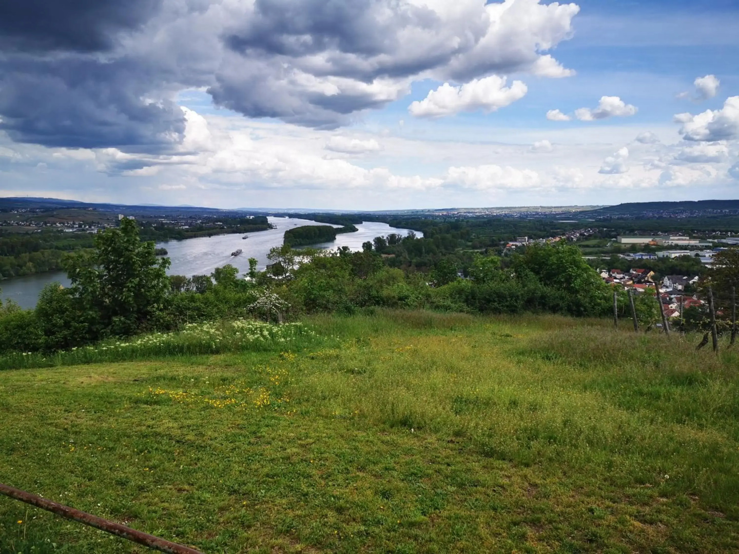 Rheinufer am Hindenburgpark