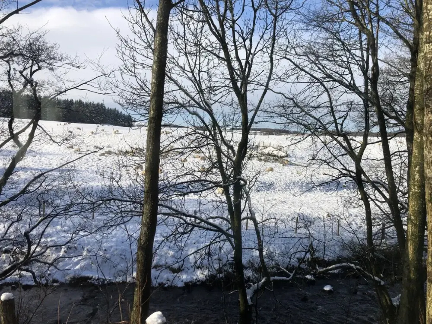 Impeccable 2-bed Lodge in Yorkshire, England
