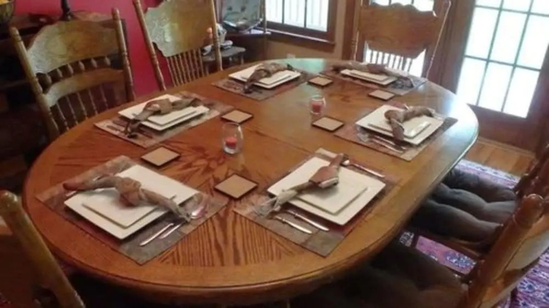 Lost Forest Bed and Breakfast