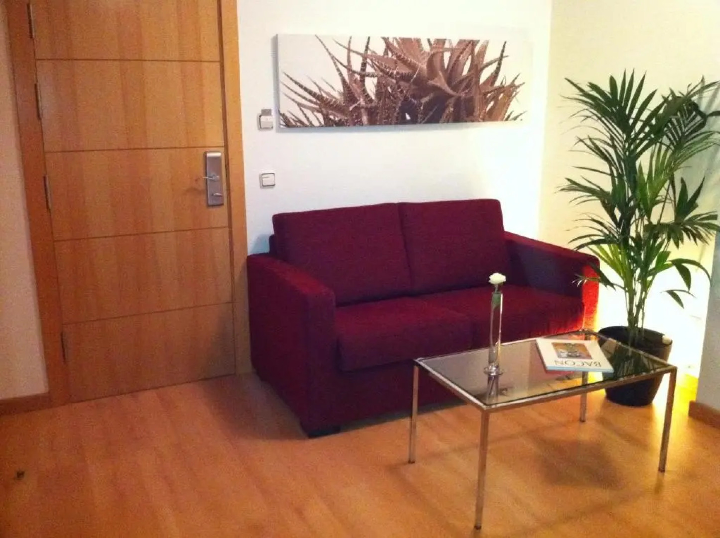 Apartamentos Tartesos