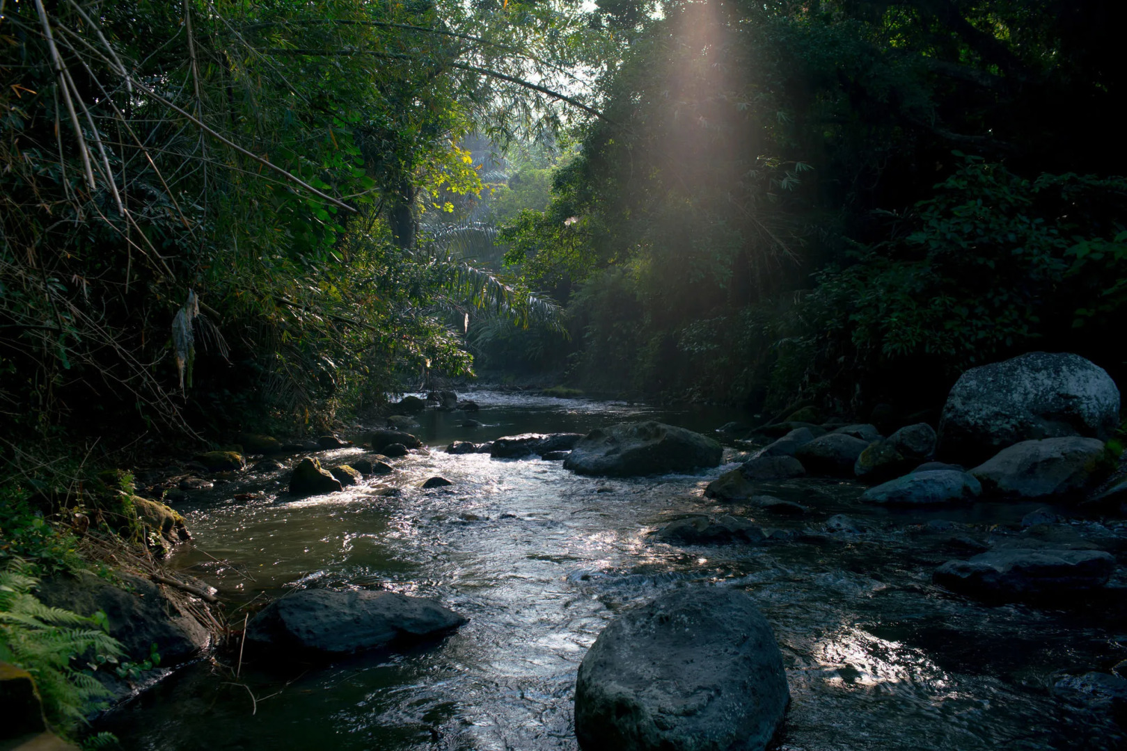 Villa Annapurna River View