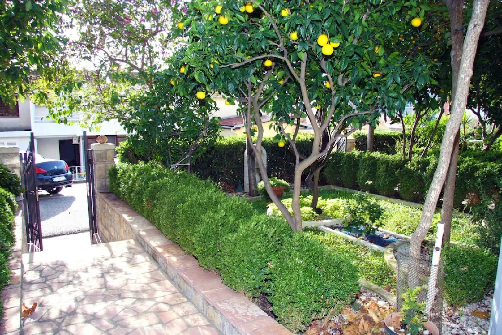 MM Kovacevic Apartments