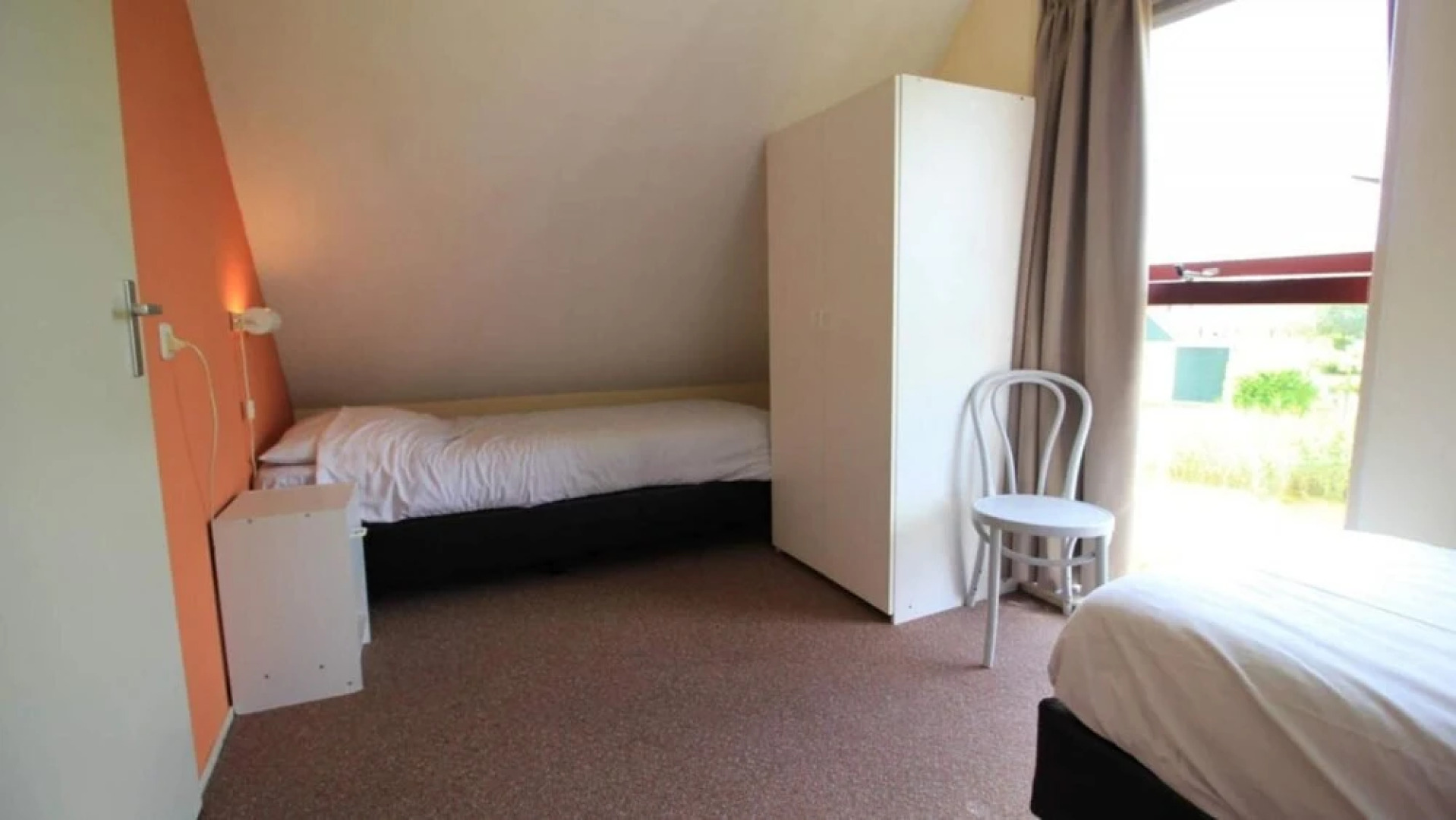 HVZ Orchis Wellness 6p