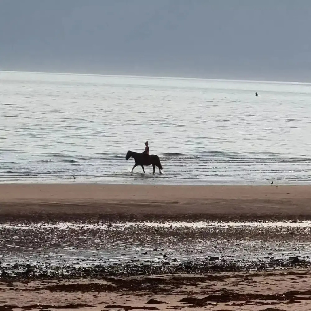 St Leonards Guest House