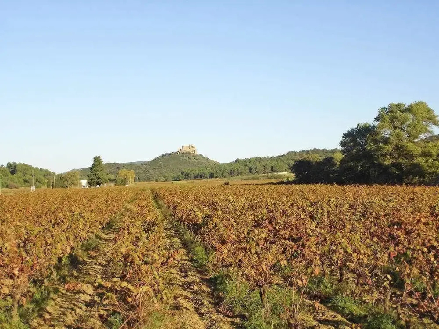 Talpri - Maison typique des Corbières avec piscine, pays Cathare Apart