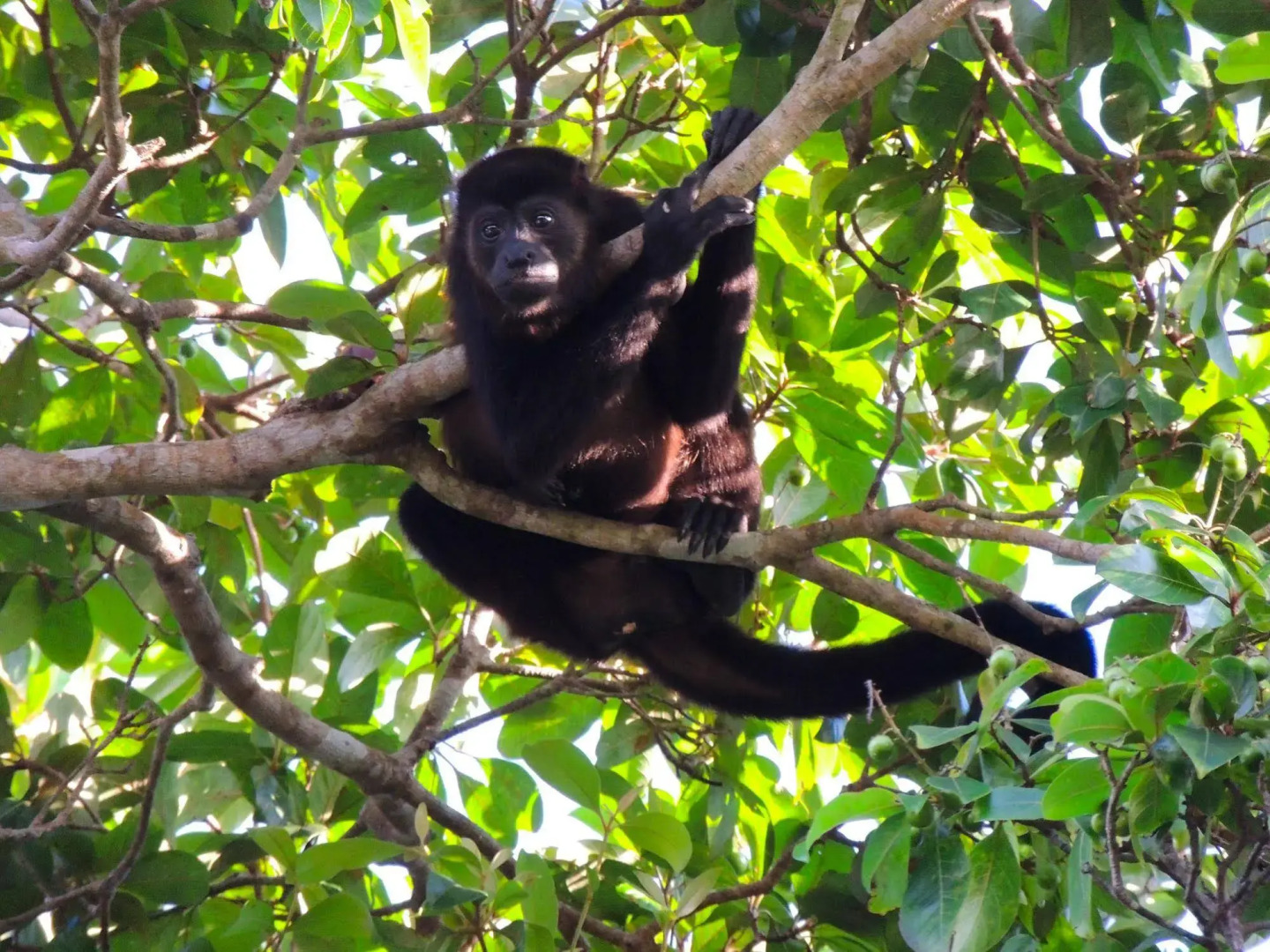 Trujillo Beach Eco-Resort