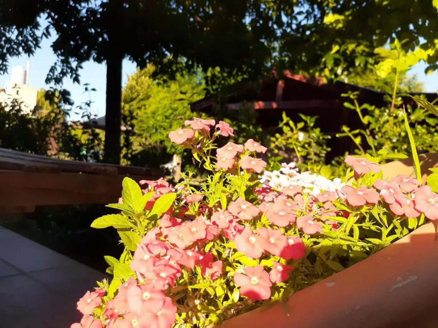 Cabañas Ecos del Valle