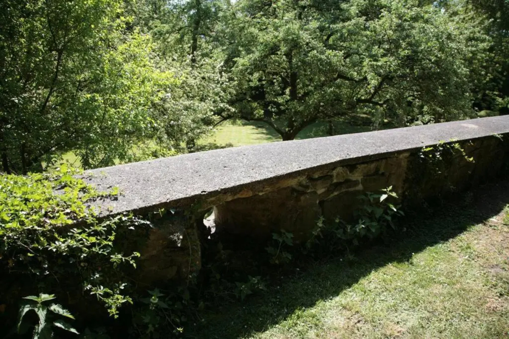 ZI Rosina mit Burggartenblick