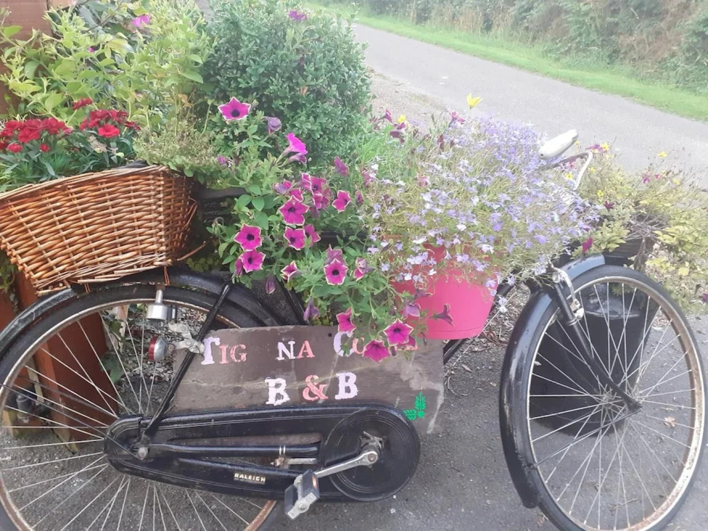 Tig na Coille B&B Country House