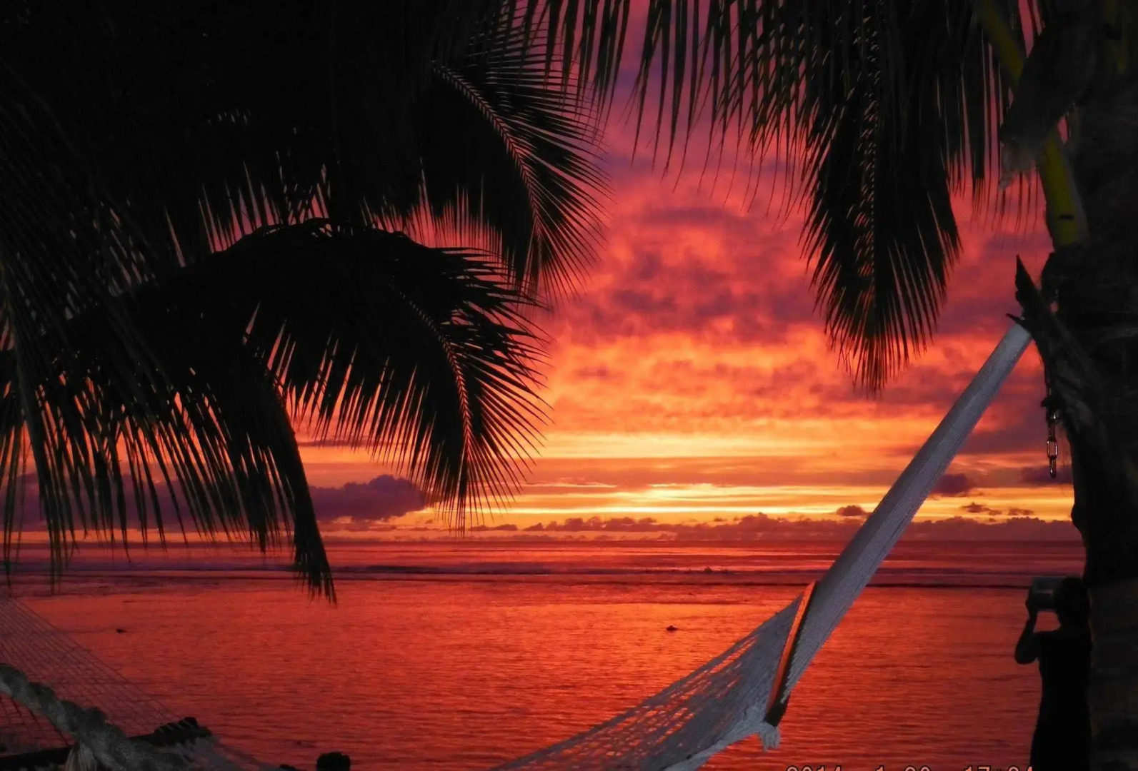 Magic Reef Bungalows