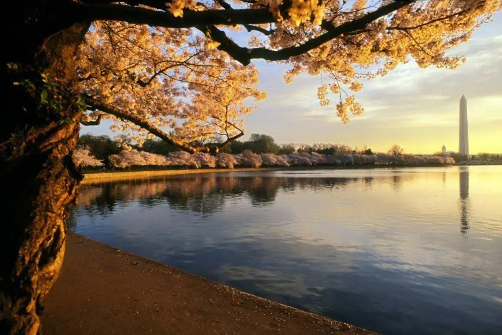 Hampton Inn & Suites Washington-Dulles International Airport