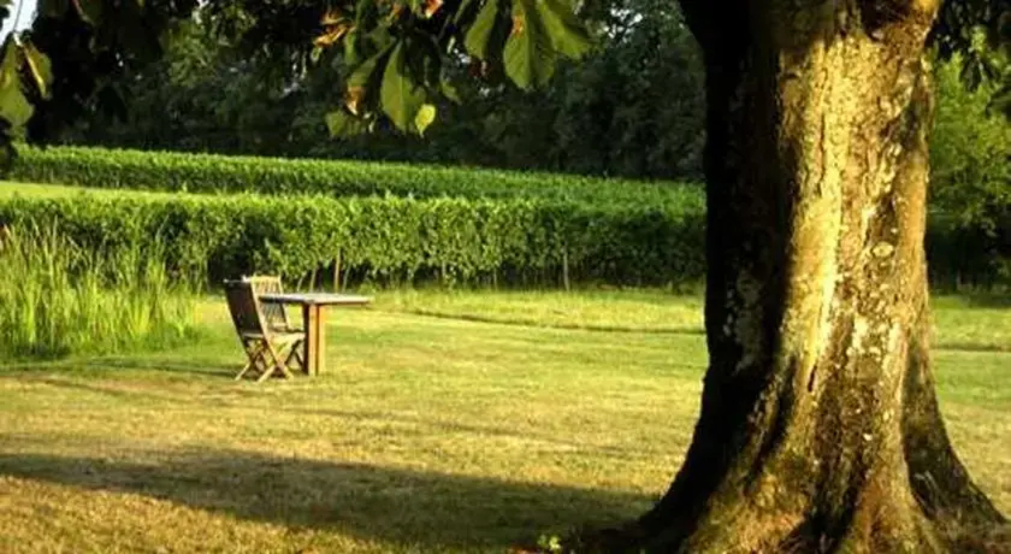 Chambres dHôtes Château Rolin Haut Briand