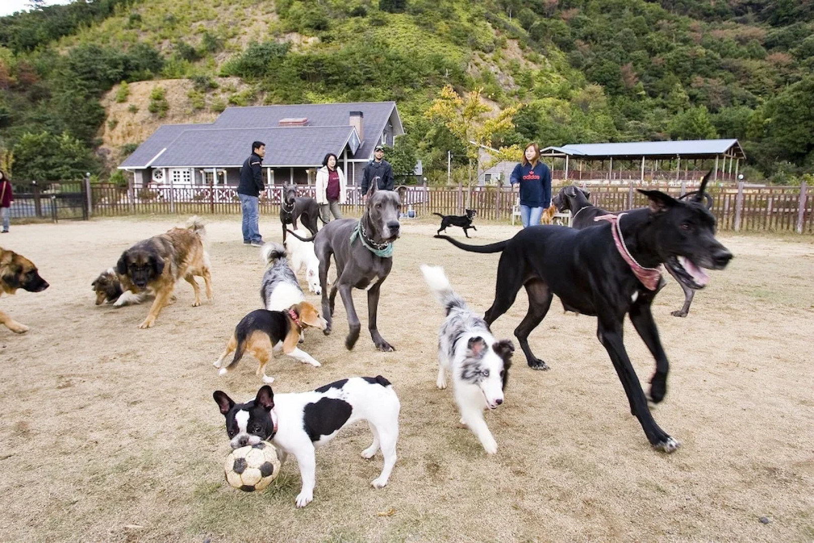 Partners House Yuasa