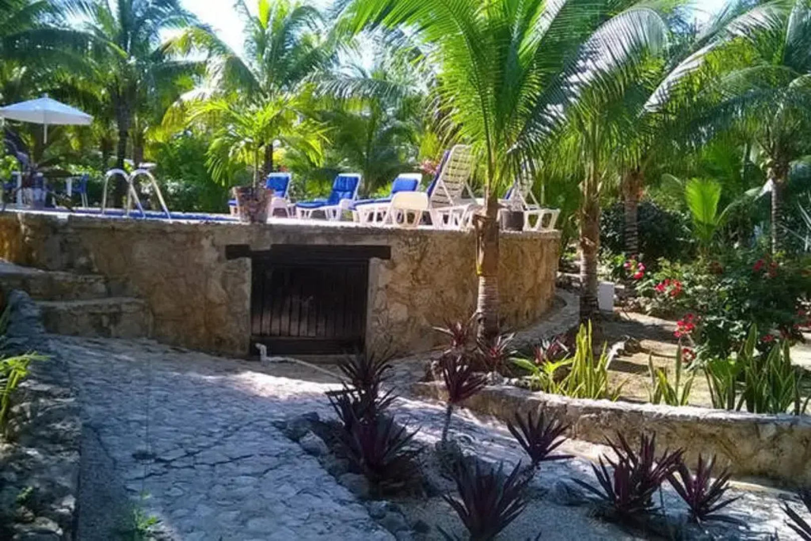 Casa de Las Tortugas I Tour Akumal