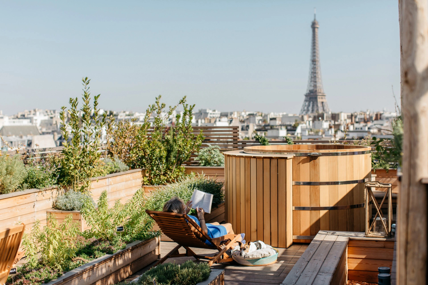 Brach Paris - Evok Collection