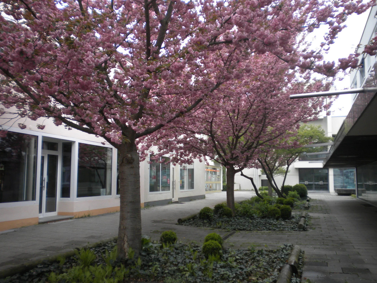 Hotel Lindleinsmühle