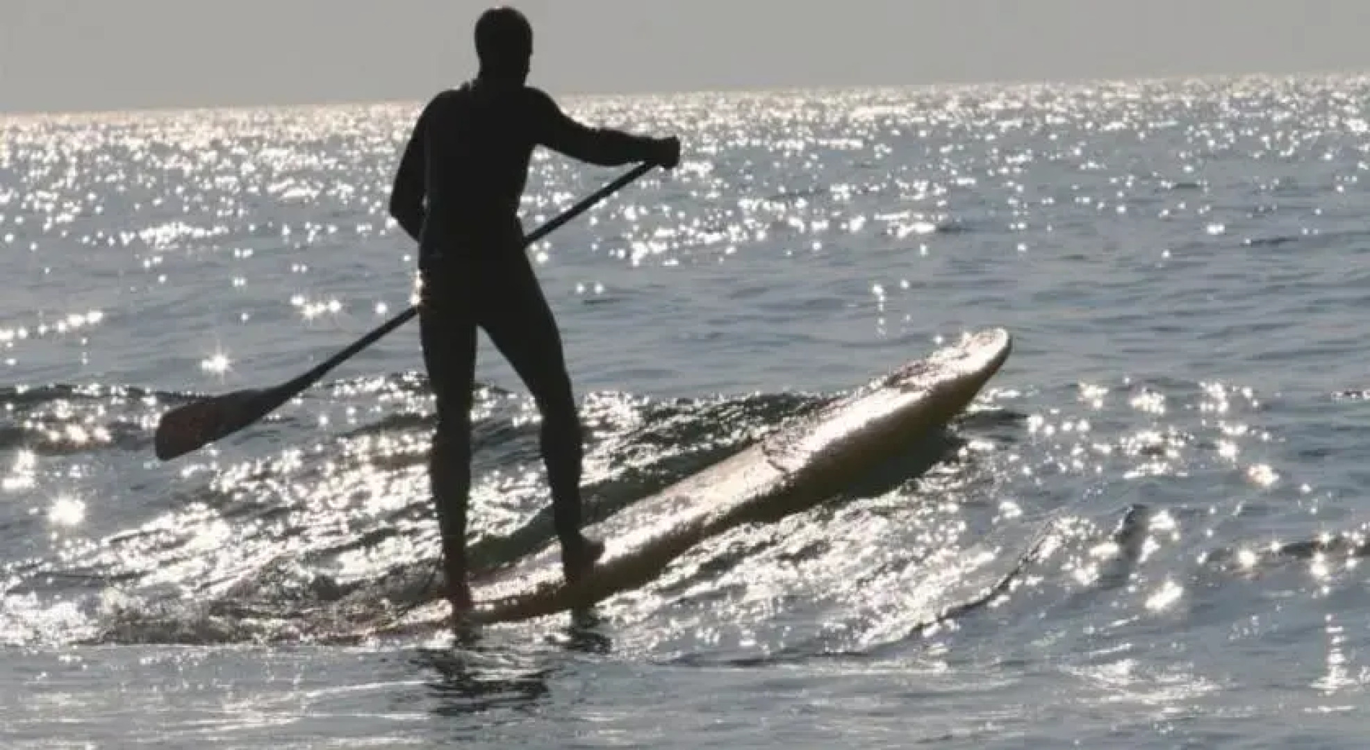 Rental Villa SEIGNOSSE LE PENON