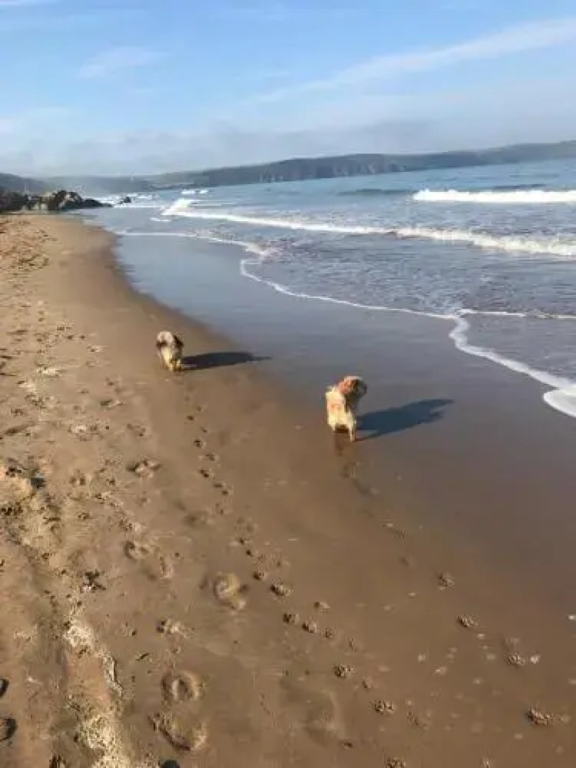 5, Sandleigh Apartment