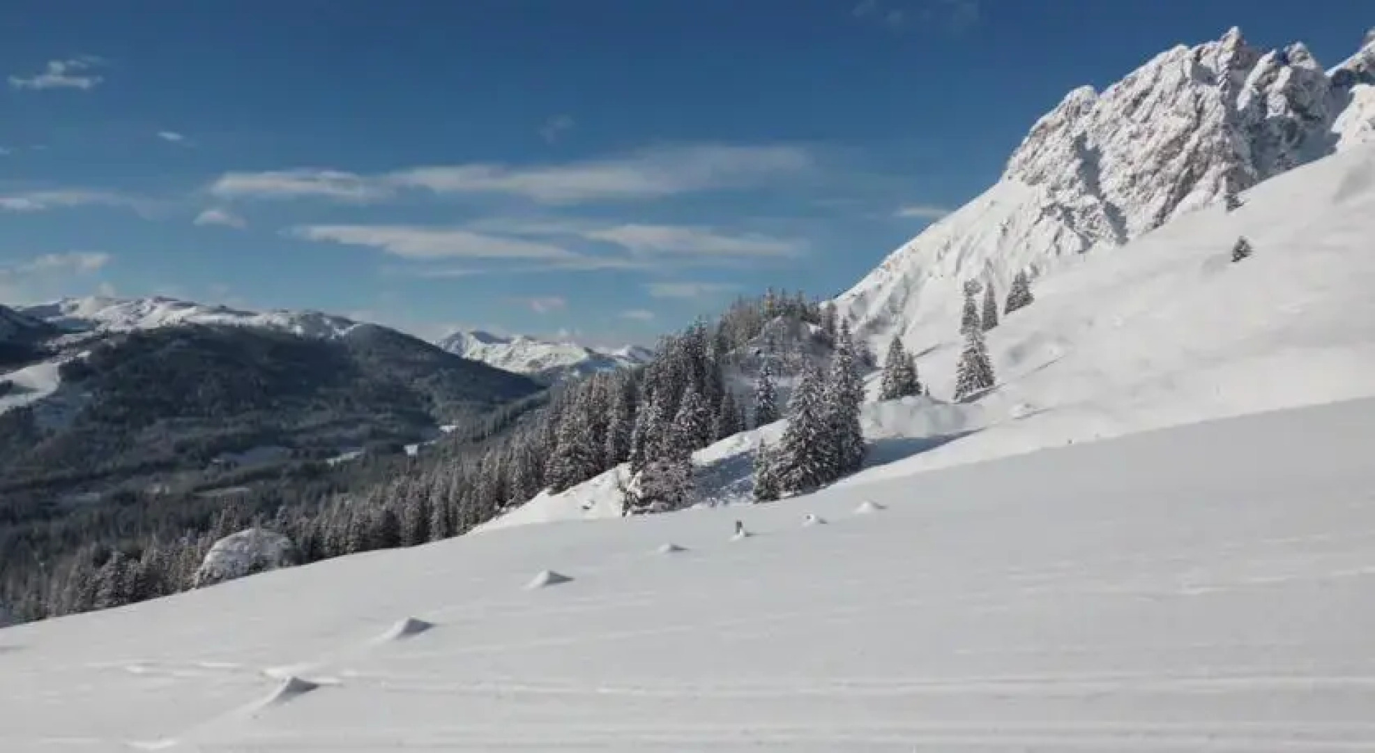 Ferienwohnung Schneebergblick