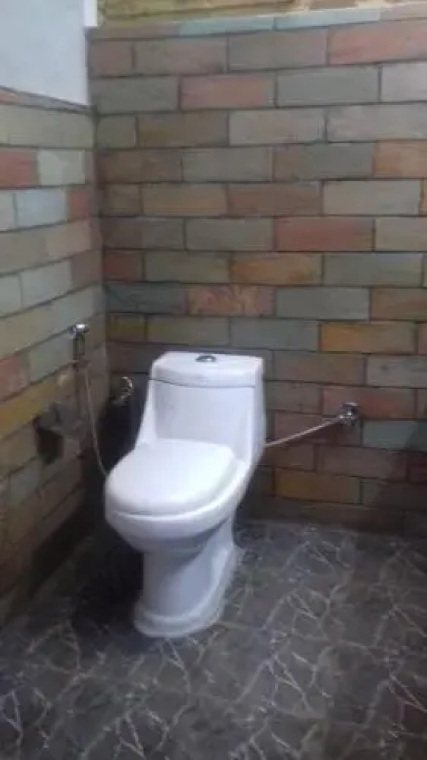 Dev Conifers Cafe and Cottages