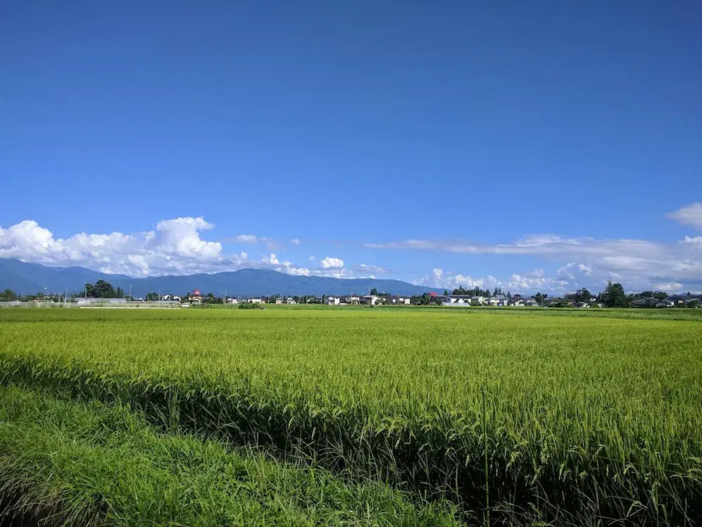 Tomo's hut in Japanese old style