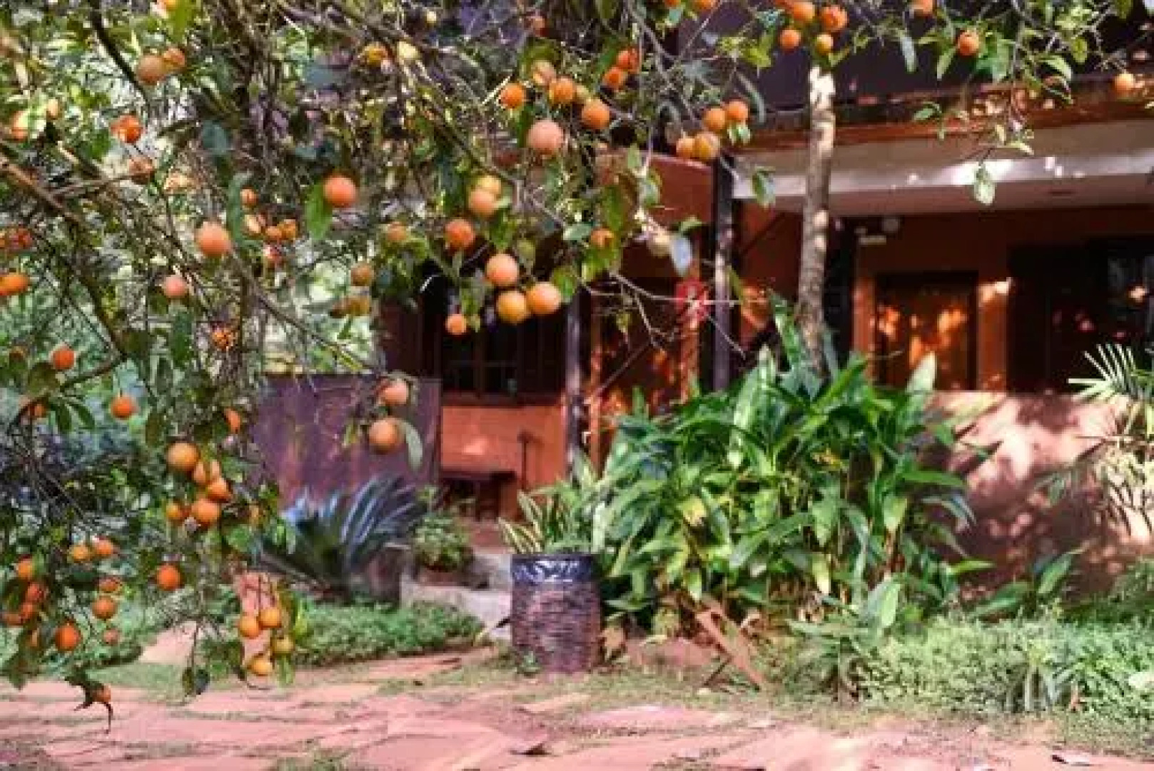 Tiô Isolda Artes & Hospedaria