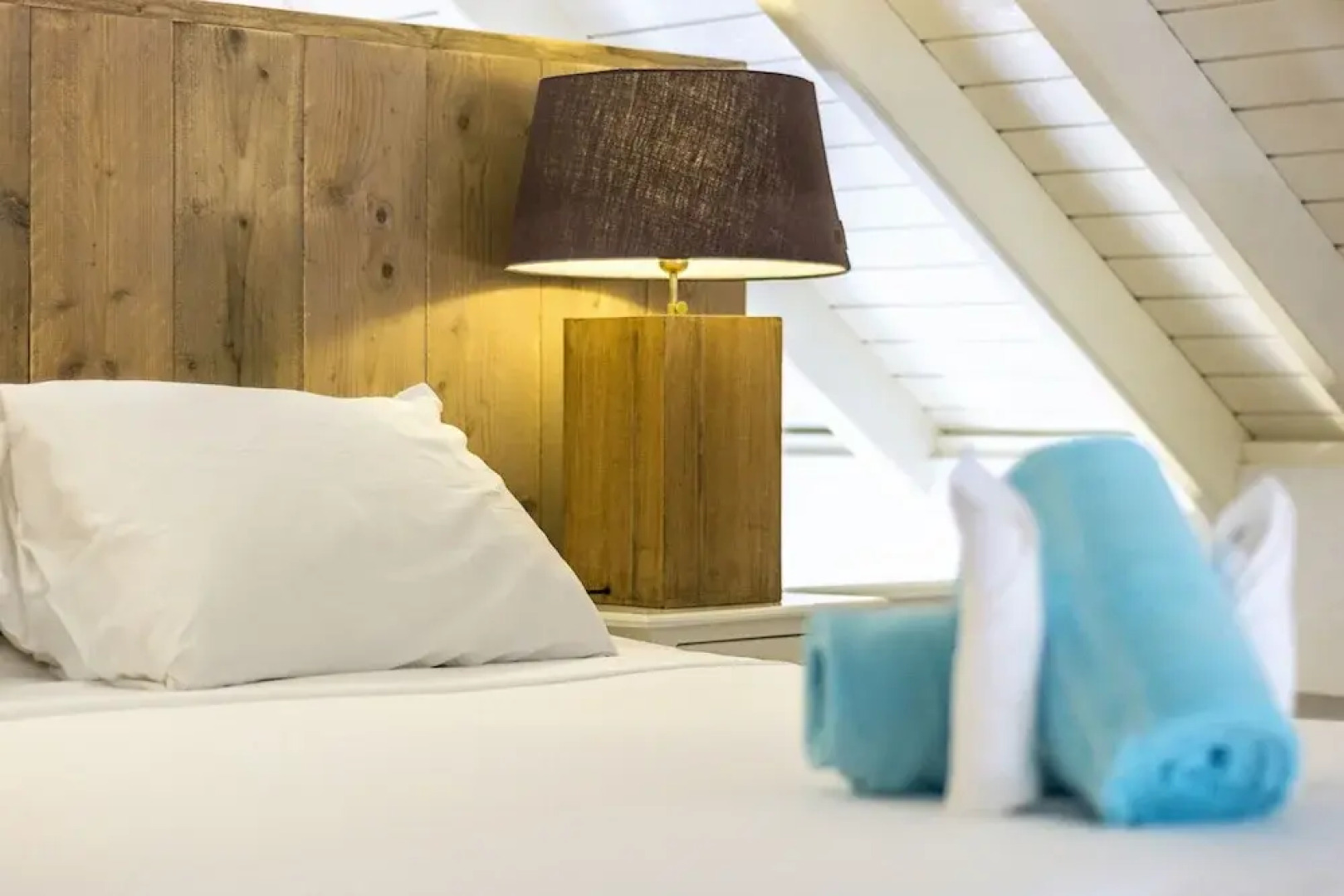 Pietermaai Tropical Vibes