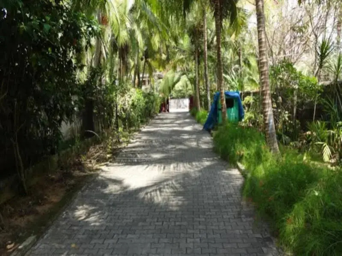 Wild Palms on Sea Hotel