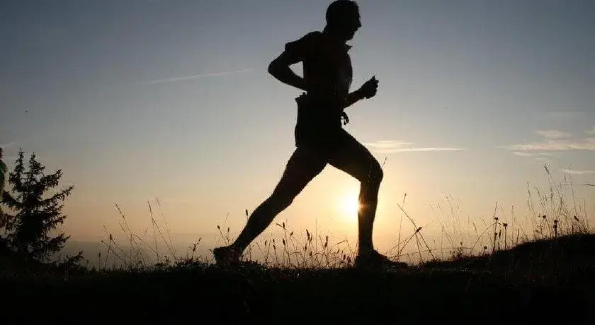 Hotel Au Feu De Bois