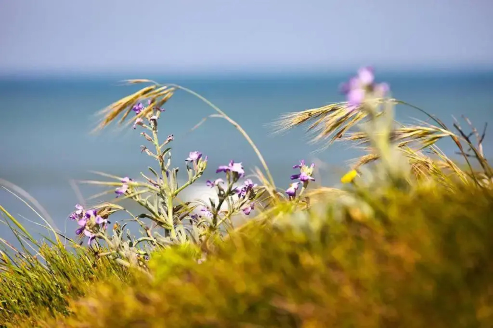 Résidence Les Pierrettes