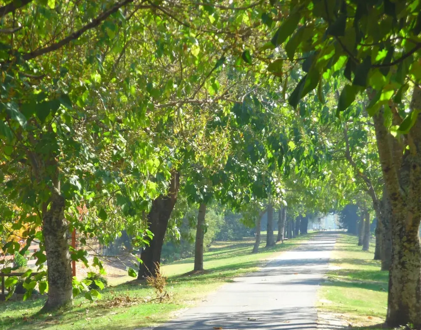 Bright Highland Valley Cottages