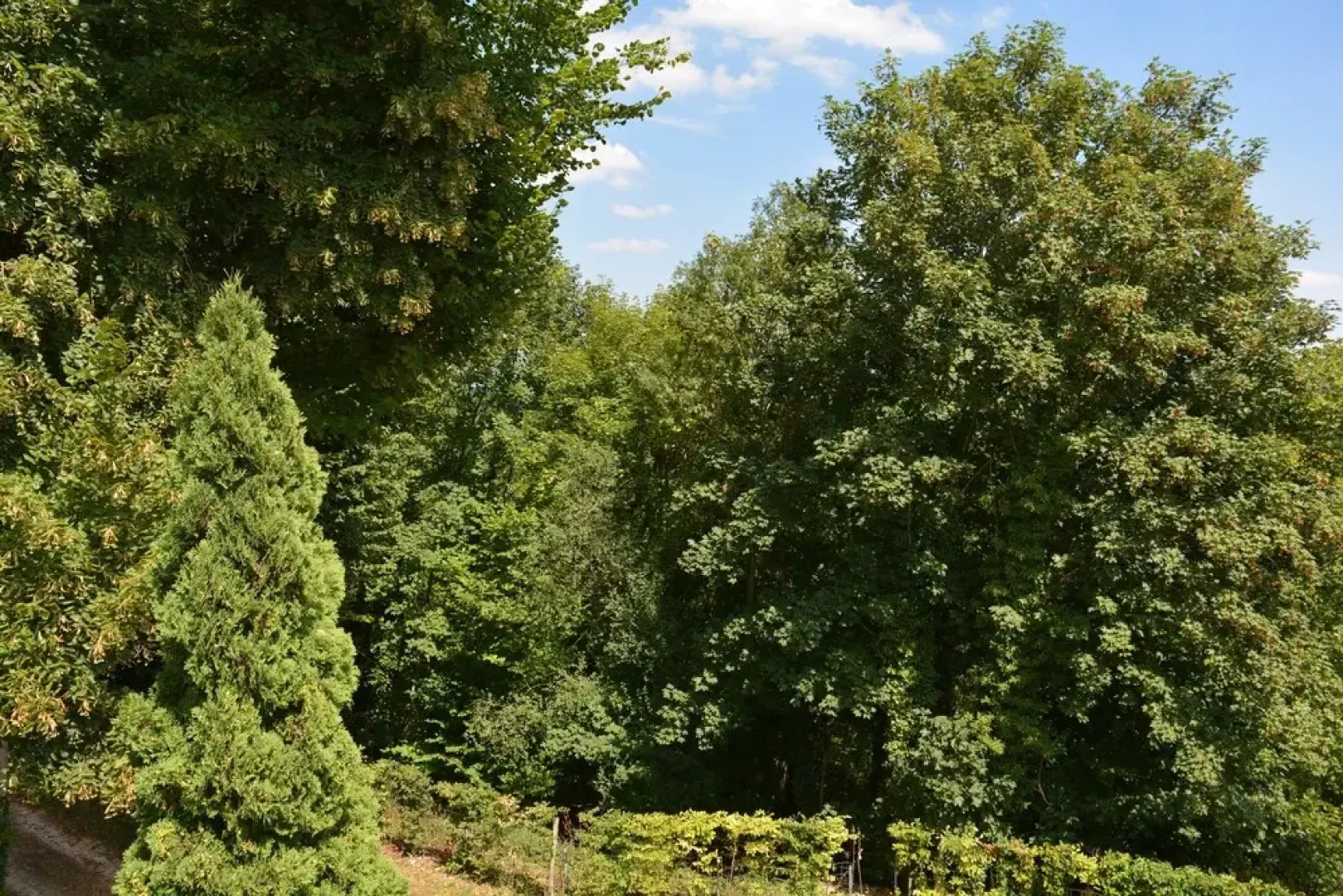 Hermitage Saint Roch