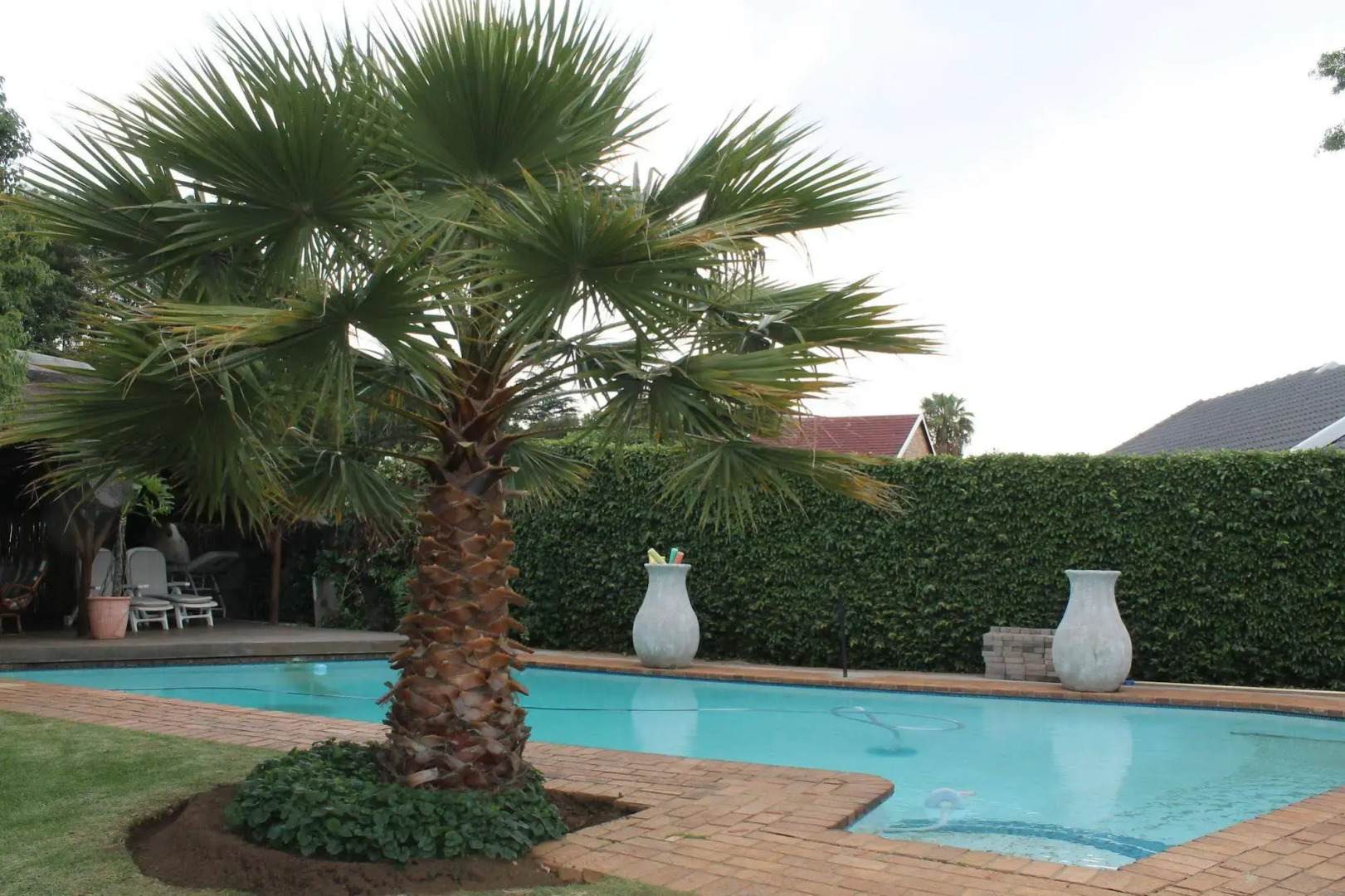 Fin and Feather Guesthouse