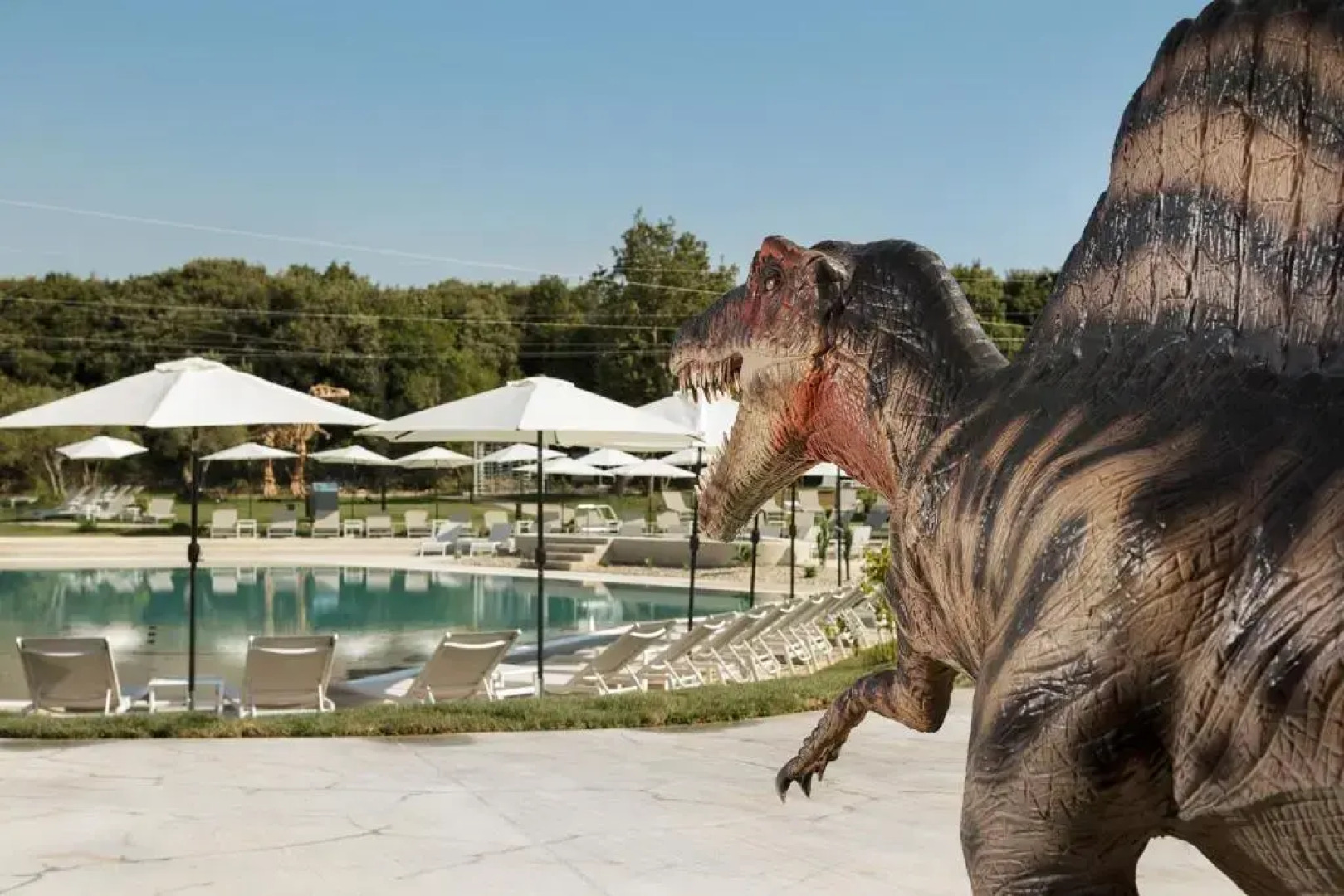 Luxury Town House Corto Bechera