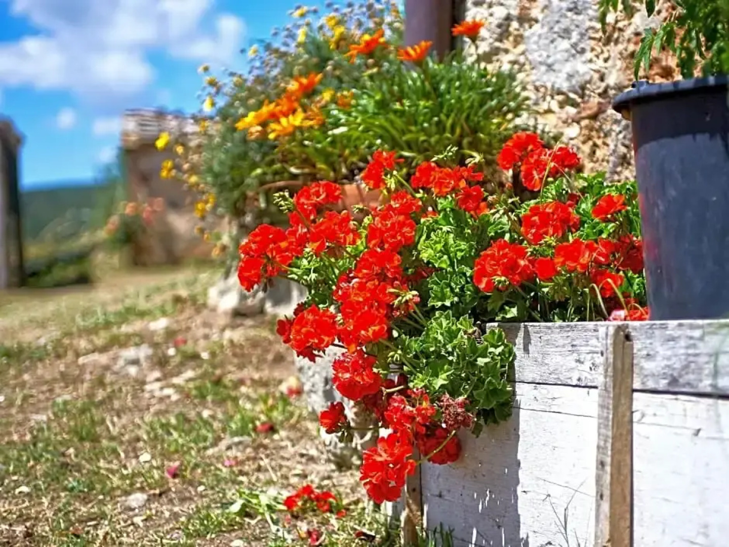 B&B Torre Della Chiocciola