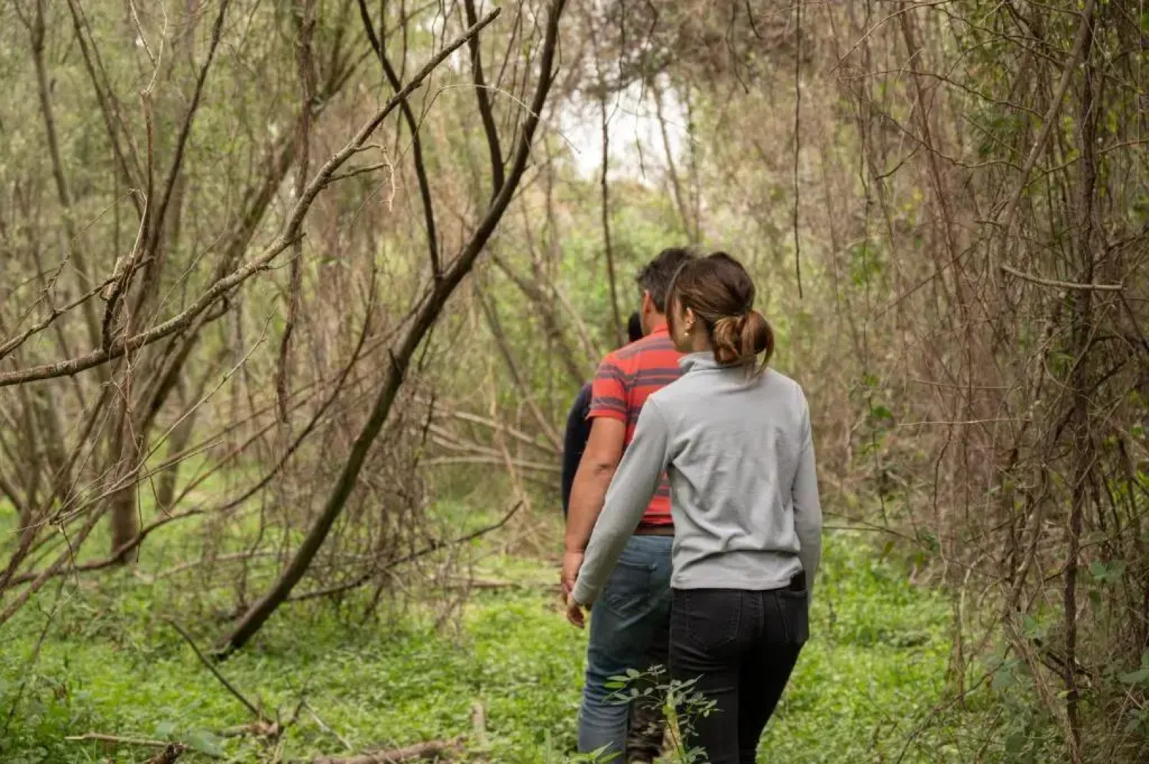 Glamping Los Palmares