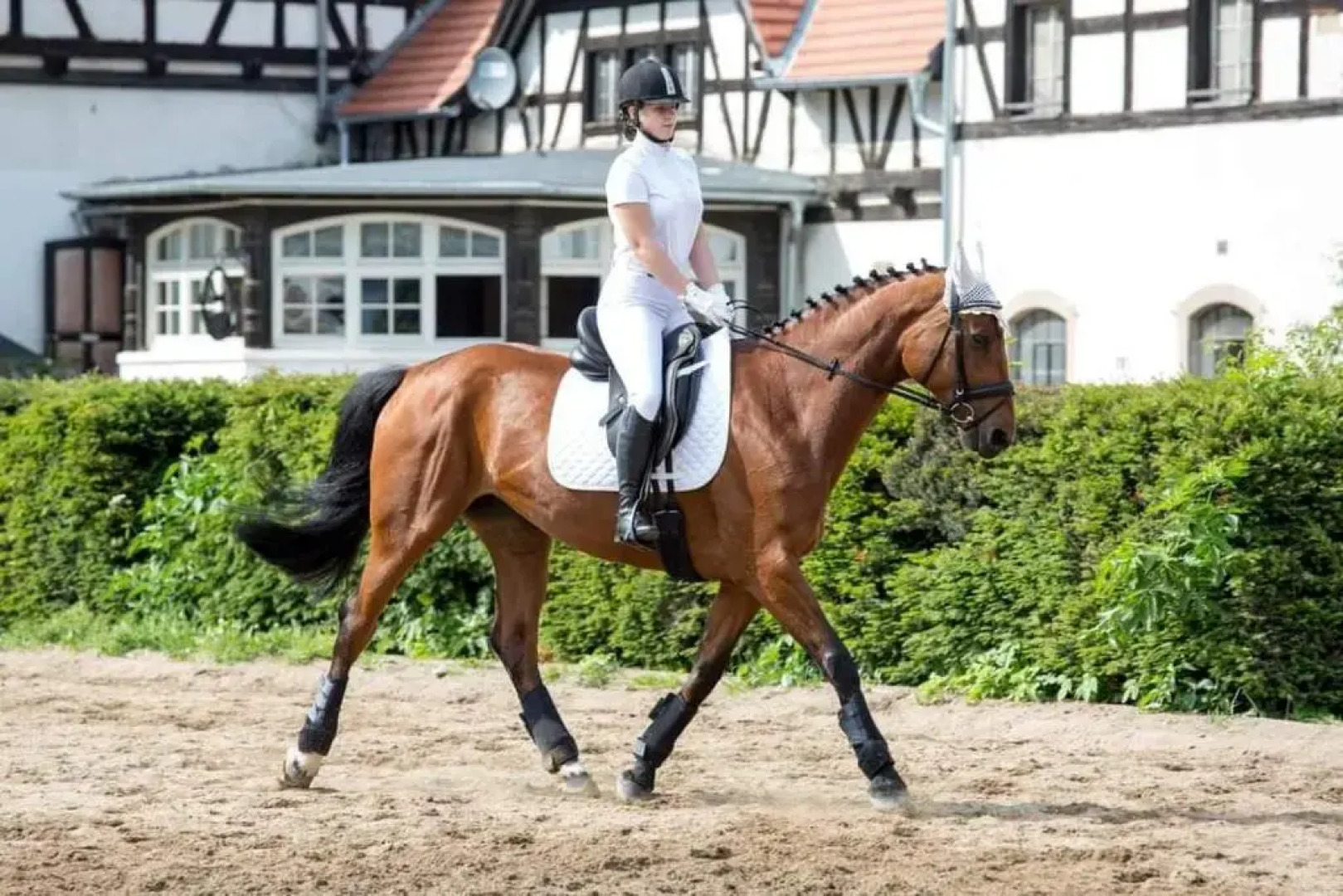 Hotel Przy Oślej Bramie - Zamek Książ