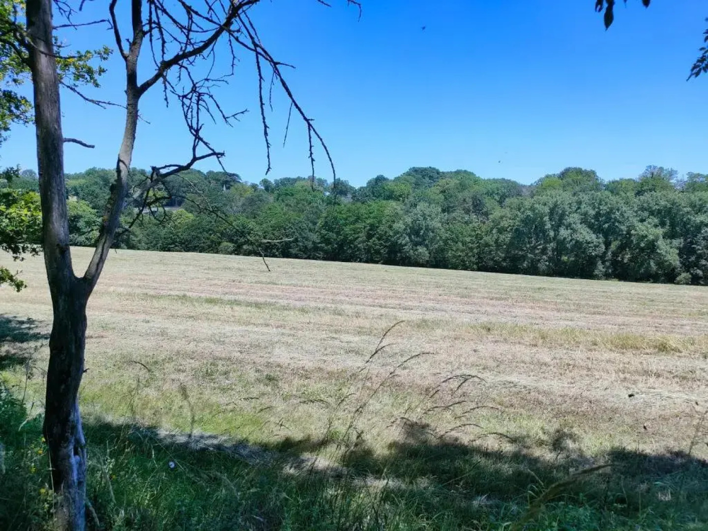 Chambres dans le gîte "Rêves de Gamins", proche du pôle Européen et du circuit des 24h