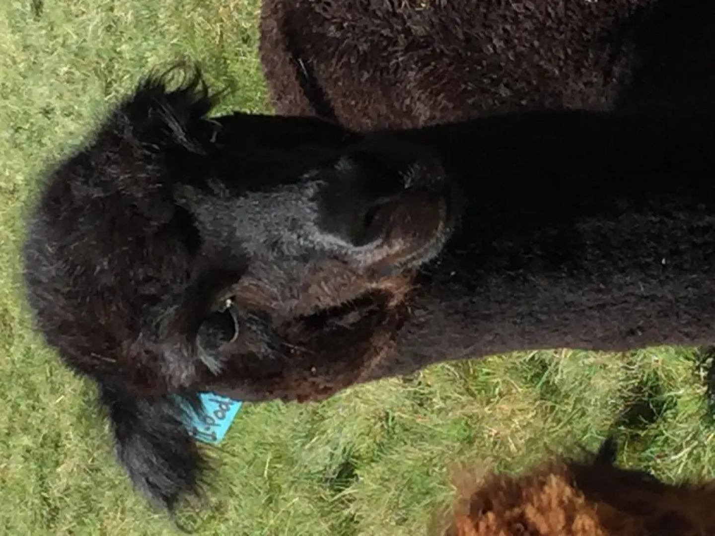 Ruapehu Country Lodge