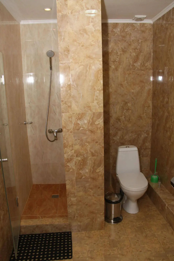 Шанырак на Абая 