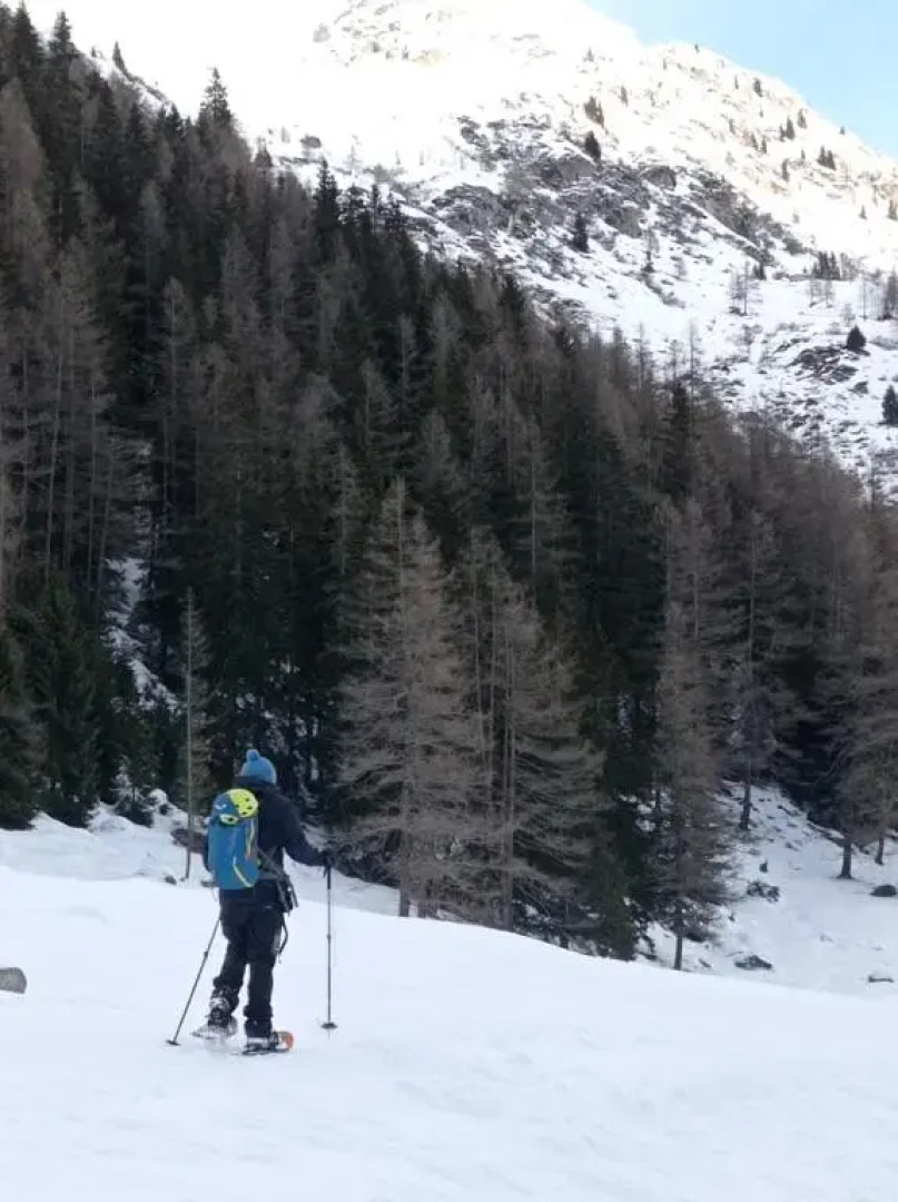 Appartament Anna 4 (Adults Only)