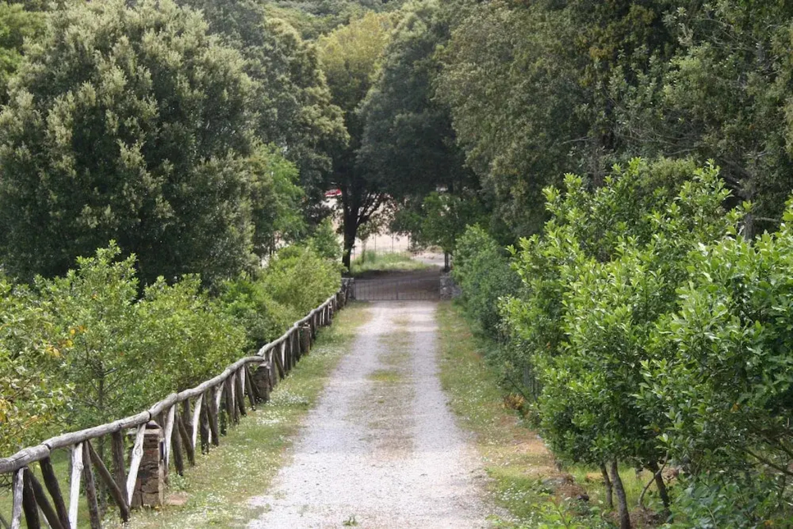 Sui Tetti Di Iglesias