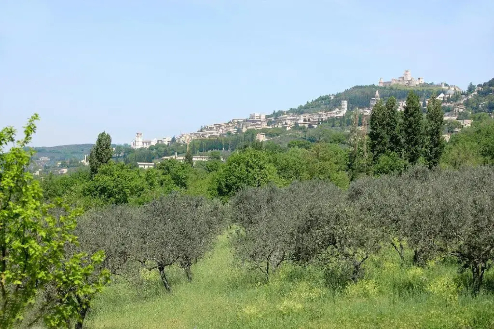Country House Poggio Fiorito