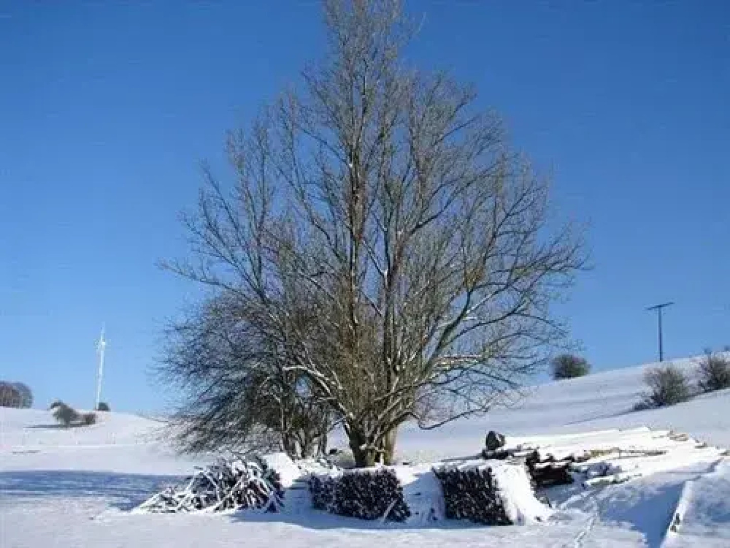 Eifelhaus24 - Ferienwohnungen